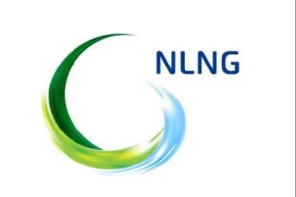 NLNG/SEPNU leads as domestic cooking gas supply rises