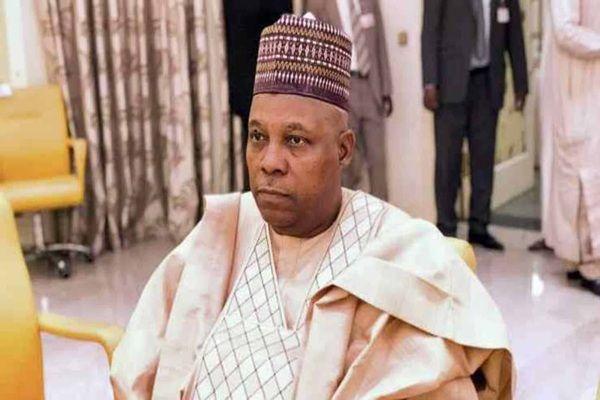 Prioritise value maximisation of your mineral resources, Nigeria's Vice President advises African leaders ​‌‍​‌‌‍⁠⁠‌⁠‌‌‌