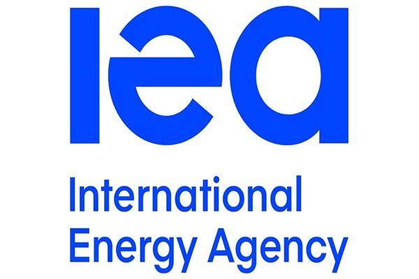 Nigeria, IEA in joint work programme for energy data development and policy making