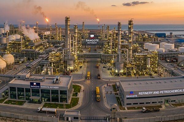 Dangote’s ₦5,250 investment opportunity: the billions behind small investors’ money
